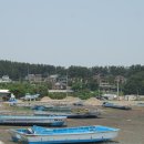 대부해솔길 4코스 이미지