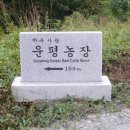 굴티농장 이미지