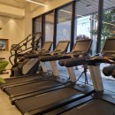 THE ONE fitness 네이버블로그