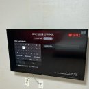 바닷가 하얀목화밭 이미지