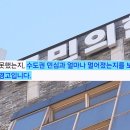 유례없는 '수도권 무공천'…"민주당 도우미" 장동혁 향해 맹비난 이미지