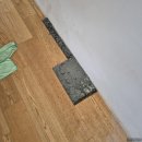 무장길 | 부평누수, 드디어 해결했어요! 꼼꼼함으로 무장한 '누수' 업체 솔직 후기