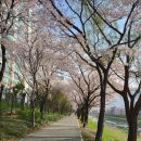 신안아파트후문 이미지