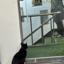 에이바헤어 고강점 이미지