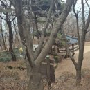 주룡나루 | 강서둘레길신선바위 개화산숲길미타사약사사 개화산호국공원