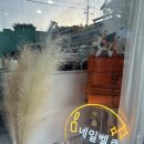 벨르네일 - 춘천시 경춘로 2364 | 벨르네일