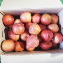 광수농장 이미지