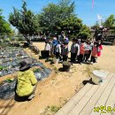 동양유치원 이미지