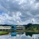 영동 일라이트CC 이미지