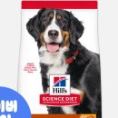 헤어힐스 - 전주시 덕진구 | 헤어힐스