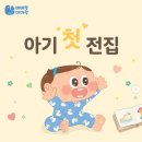 전집보고