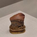 소수박물관 | Taiwan (대만) 臺灣 = [후기최고/소수정예] "대만 고궁 박물관 가이드 투어" 정부공식 한국인 가이드...