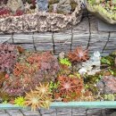 그림정원 이미지