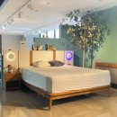 파라시오갤러리 이미지