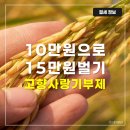 합리적 소비와 절세 전략 | 고향사랑기부제 답례품 추천, 위기브 혜택까지 15만 원 버는 꿀팁