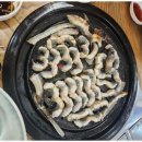 힘센 민물장어 이미지