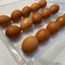 퍼털그라운드 이미지