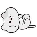 다온동물병원 이미지