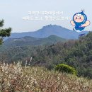 매원 이미지