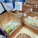 강남시장공영주차장 네이버블로그