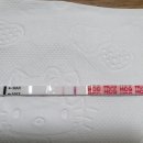 트니일기 ~17주 6일