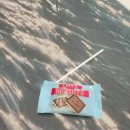 모이모이 | 성남동 크리스마스 가족사진 잘 찍는 모이스튜디오 후기