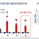 셀이노베이션