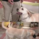 호야농장 이미지