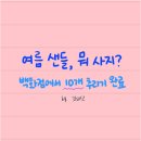 금강LF | 여름 샌들 구매기 1편 : 맘에 드는 신발 10개 추리기 | 여름 여성샌들 추천