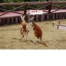 음 - 청주시 흥덕구 덕암로47번길 67 | 음