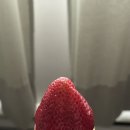 (주)청나 이미지