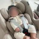 클린세탁 | 레카로 토론 새상품 부산 카시트세탁 파파스클린 내돈내산 후기 수거 및 배송까지 완벽