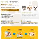 웰펫동물병원 네이버블로그