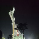 안동시립합창단 기획공연 한여름 밤의 콘서트 | 2025 평창대관령음악제 백서