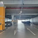 타원TAKRA6(타원타크라6) 이미지