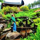 60,부산지리산울산경주,한바퀴 가로등회장주최.26-6/2,3, 이미지