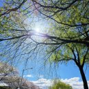 용당동 행정복지센터 이미지