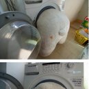 곰세탁 이미지
