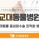하나로동물병원 이미지