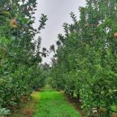 세현농장 이미지