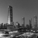 크로스핏 정글 이미지