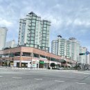 펠리시티1차 이미지