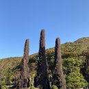 모키드(주)