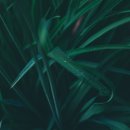 김천구미역사 이미지