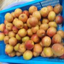 예현리 경로당 네이버블로그