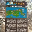 솔향기길1코스(당봉) 이미지