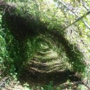 유경농장 이미지