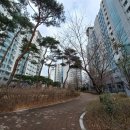 월봉초등학교 병설유치원 이미지