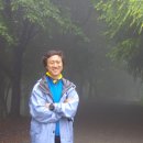 대전둘레산길(5구간) 이미지