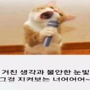 연하민박 이미지